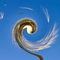 Opus 164 by Gérard Delassus