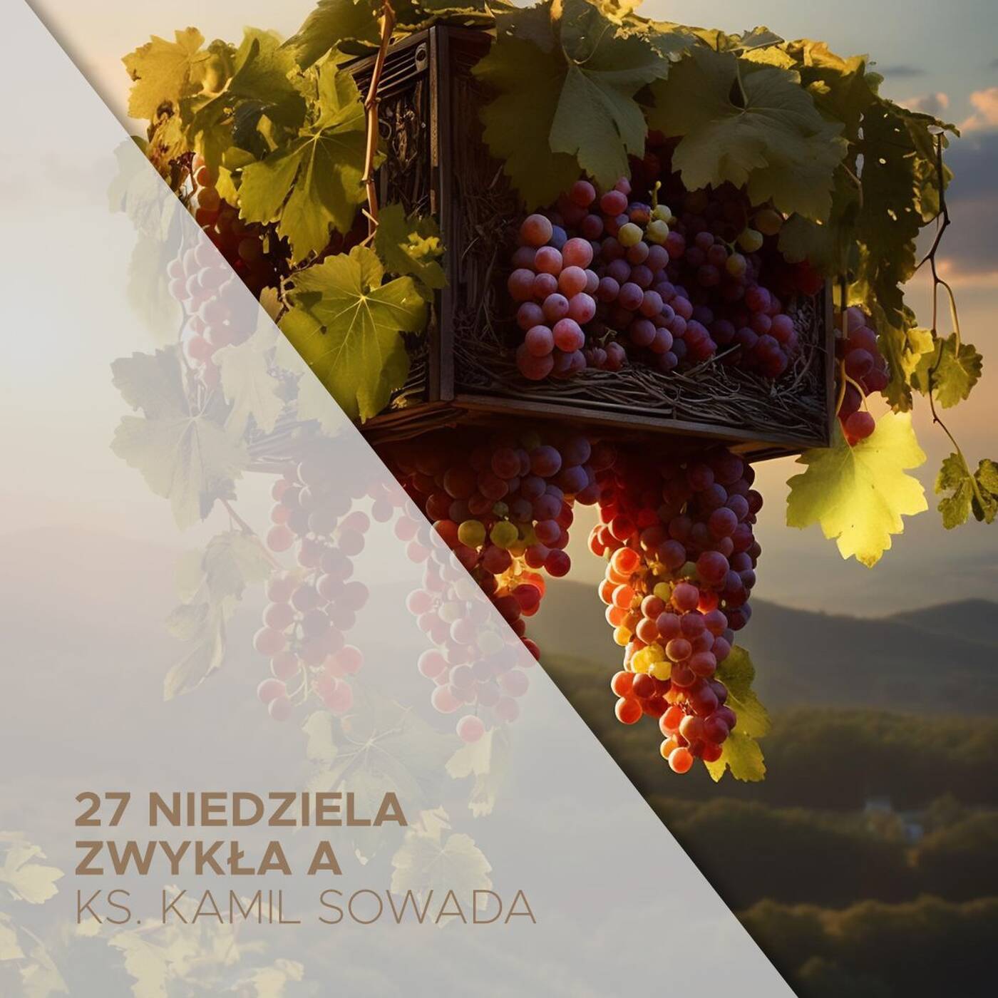 27. Niedziela Zwykła A (08.10.2023) - Winnica Pańska - ks. Kamil Sowada episode artwork