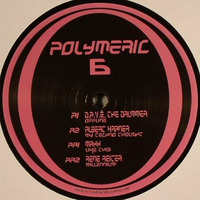 RENE REITER - Millennium [Polymeric 6] by POLYMERIC RECORDS