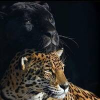 INFECTIOUS UNEASE RADIO 28 03 22 TO 29 03 22 ECLECTIC MIX DUB JUNGLE D&amp;B MUSIC#1468 by info@infectiousuneaseradio.com