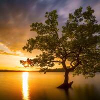 Mundo Mix Radio 171 by DJ João Machado