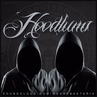 Hoodlums (Original Mix) **Free Download** by Bakteria