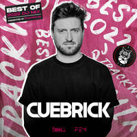 Cuebrick - TrackWolves Best Of 2022 DJ Mix by TrackWolves