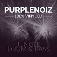 2003 July Jungle Pt1 Purplenoiz Old School Jungle Classics by Purplenoiz