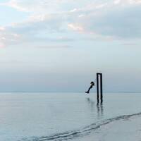 TranceLife Vol50 ( Part 2 ) - Ocean Shoreline Effect - (mixed by ChrisStation) http://chrisstation.siteboard.eu/ by Chris Station