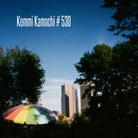 Kemmi Kamachi # 530 by Kemmi Kamachi