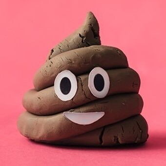 Tiago Miguel Gon&ccedil;alves Santa Rita