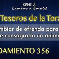 Mandamiento 356 | No cambiar de ofrenda para la cual fue consagrado un animal. by Kehila Camino a Emaus