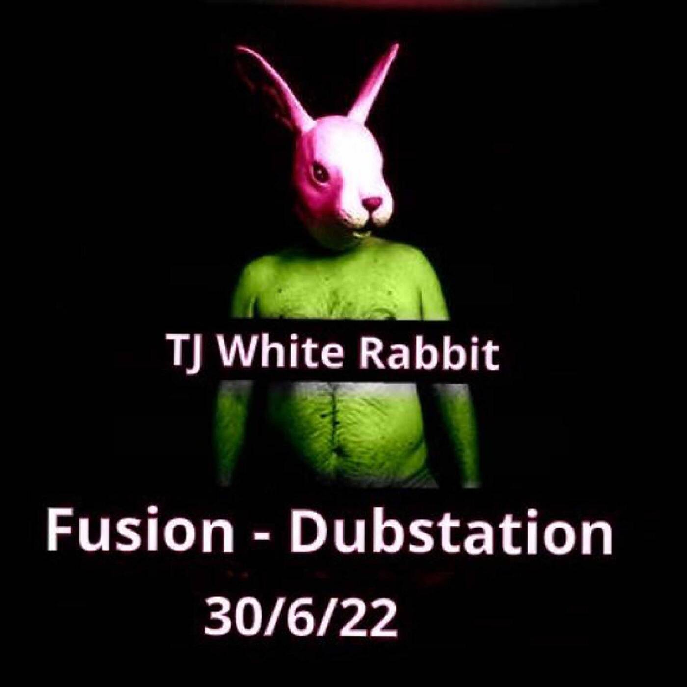 Grenzpunkt Null Reloaded - Wrong rabbitz in the mood for dub: Chapter 1 #95 episode artwork