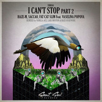 Haze-M, Fat Cat Slim & Saccao - I Can't Stop (Lars Moston Remix) by Lars Moston