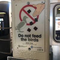 DON'T FEED THE BIRDS Vol.1 by Dj Squeeze