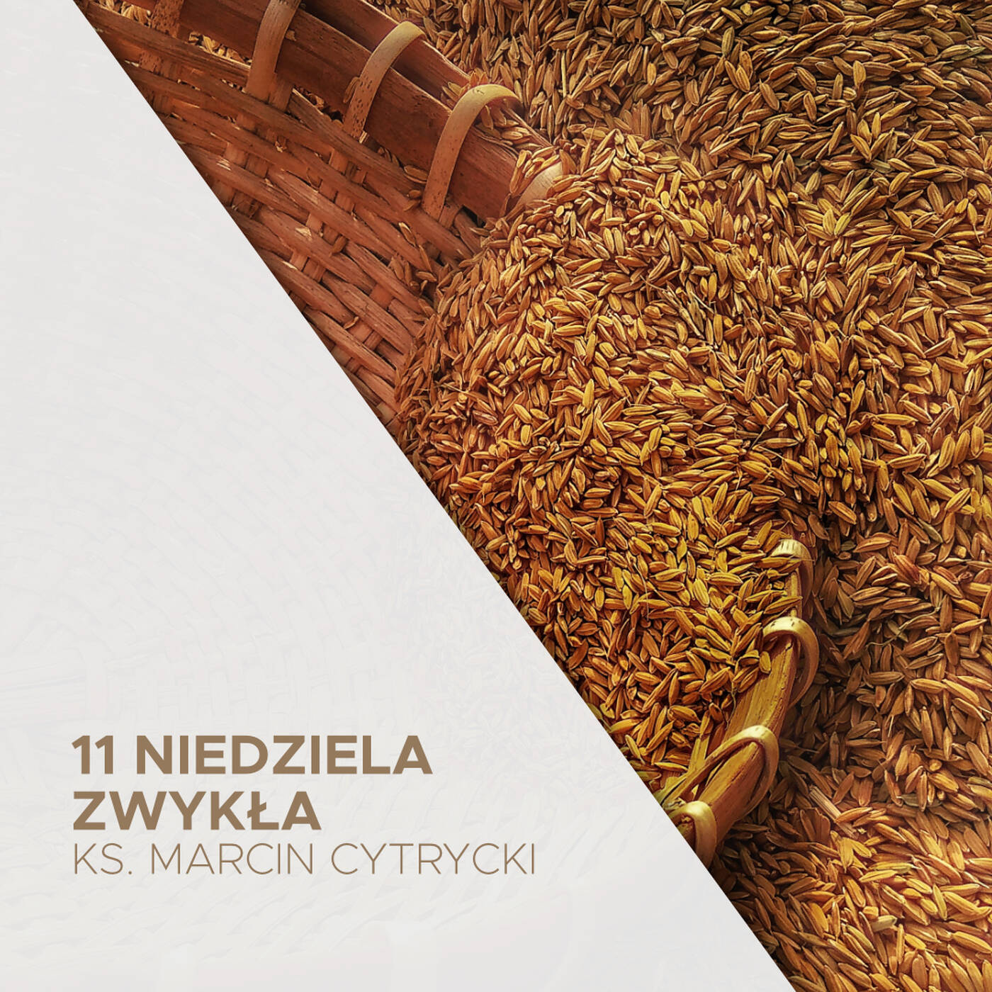 13.06.2021 - 11 Niedziela Zwykła B - ks. Marcin Cytrycki episode artwork