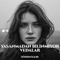 Yaşanmadan Bilinmiyor Vedalar by ˗ˏˋ🎵ˎˊ˗