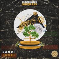 Slow Sessions 255 Mixed by SandiGOE (ZA) by Slow Sessions Podcast