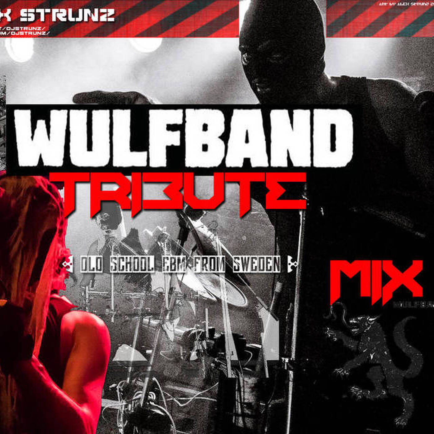 Dj Alex Strunz @ WULFBAND TRIBUTE MIX - OLDSCHOOL EBM FROM SWEDEN - 20-06-2018 episode artwork