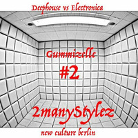 #2manyStylez - Gummizelle #2 (DH Vs Electronica) 2015 - 07 - 25m04 by 2manyStylez             (new culture berlin)