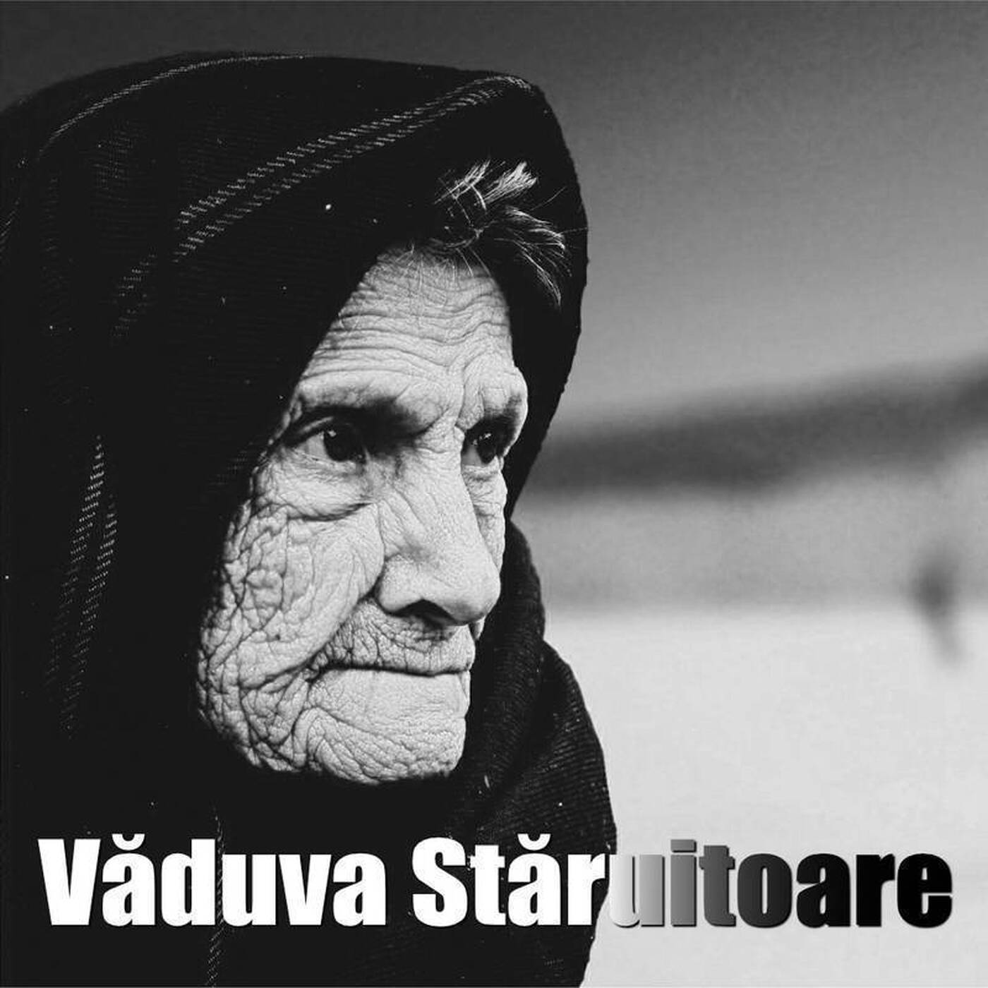 Văduva Stăruitoare episode artwork
