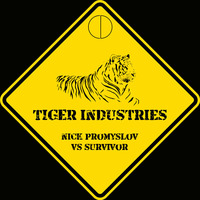 Tiger Industries (CD Mashup) by DJ CD