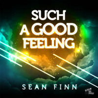 Sean Finn - Such a good feeling (The Fakies Remix) by FAKIES