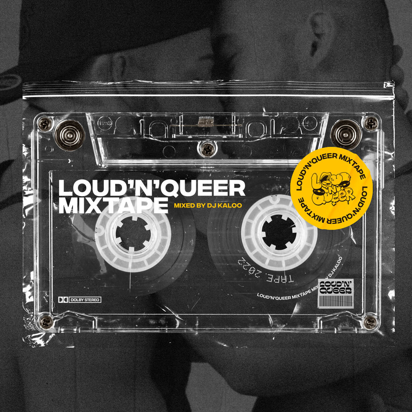 Loud'N'Queer Mixtape by DJ Kaloo - April 2022 episode artwork