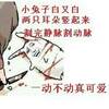 Cools Chengg