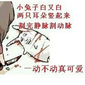 Cools Chengg