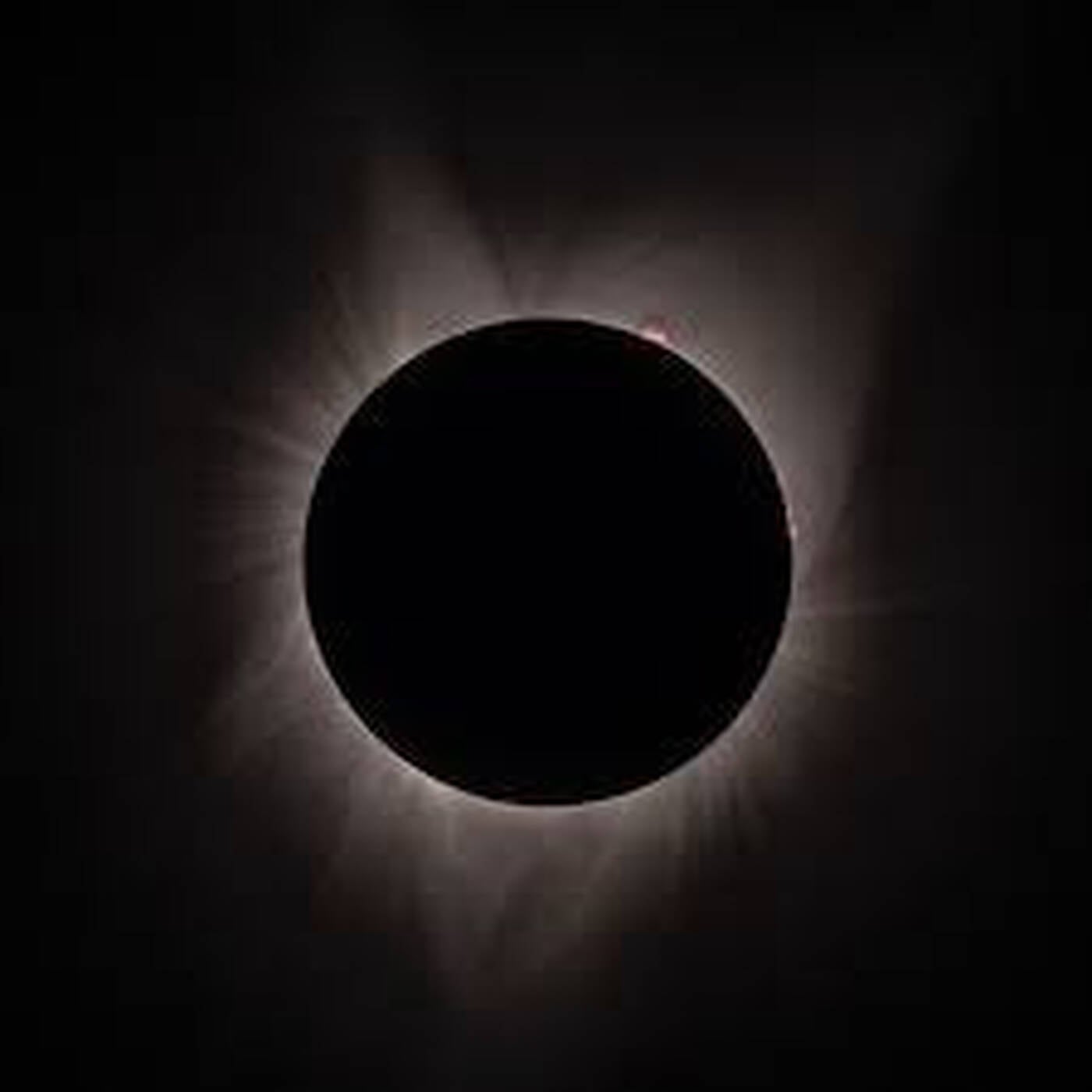 wiTHouT sUn