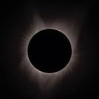 wiTHouT sUn by pHiLBo