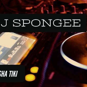Dj Spongee