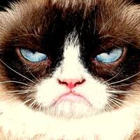 01 - Acid Police - Boredoms (1994, Japan) by Dr Boo