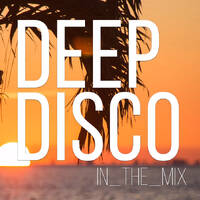 Lounge House I Deep Disco Music #57 I Best Of Deep House Vocals I Relax by Deep Disco Music