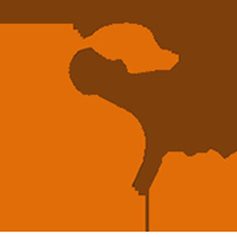 Singita Miracle Beach