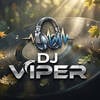 DJ Viper