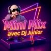 Mini Mix - Dj Junior