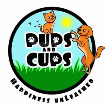 Pups Cups