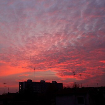 Niccol&ograve; De Din