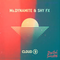 Ms. Dynamite & Shy Fx - Cloud 9 (Dj Platinum Extended Intro) by DJ PLATINUM IN THE MIX