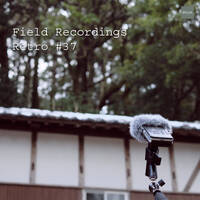 Field Recordings | Retro #37 by PG3A
