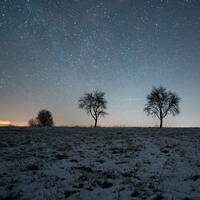 Mundo Mix Radio 269 (03-05-2024) by DJ João Machado