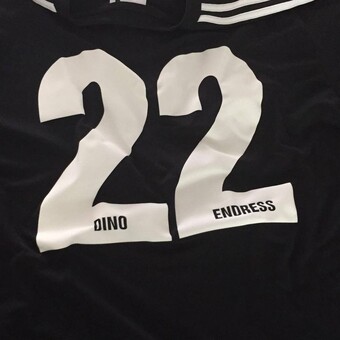 Dino Endress
