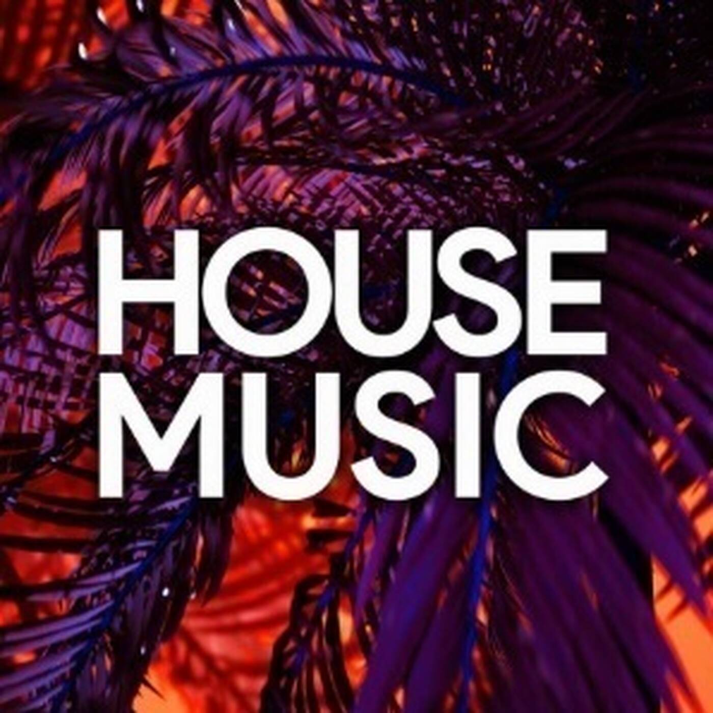 HOUSE THE JOY OF LIFE CELEBRATE DJ CH episode artwork