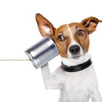 Other Noises #23 (19/7/18) - COMMUNICATIONS by Zero