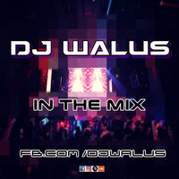 DJ W@LUS - IN THE MIX www.facebook.comDJ-WALUS by DJ WALUŚ
