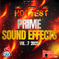 Sound Effects 2025 - DJ Tay Wsg - Sound EFX 7 (Hottest Prime) by Dream-Sound Media