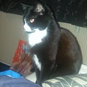 Rick Richard de Rooij