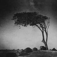 Clair／Obscur - S01／E10 - Guest Session by Memory Scale by Clair／Obscur