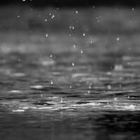 Monocrome Rain <For Rainy Time> by Nuwjon