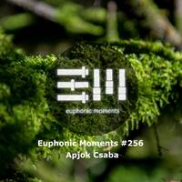 Euphonic Moments # 256 Apjok Csaba by Euphonic Moments