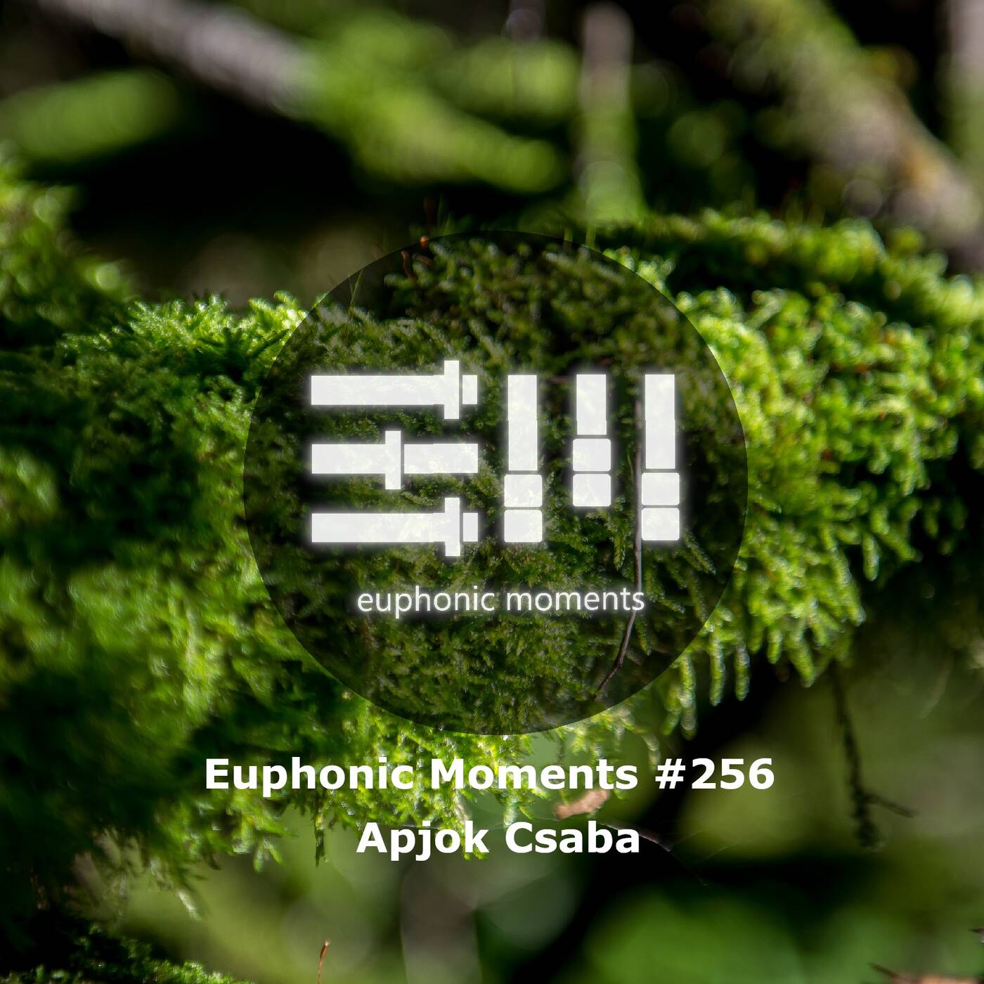 Euphonic Moments # 256 Apjok Csaba episode artwork