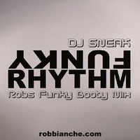 Funky Rhythm (Robs Funky Booty Mix) by RoB Bianche